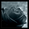 images/avatars/avatar-283.jpg